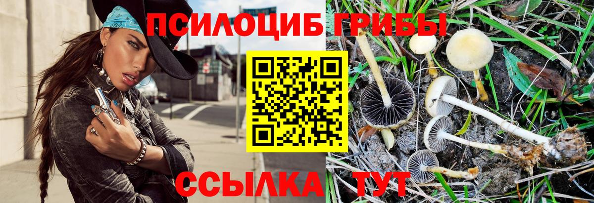 Галлюциногенные грибы Cubensis  Вход с VPN  Новозыбков  Галлюциногенные грибы мухоморы 