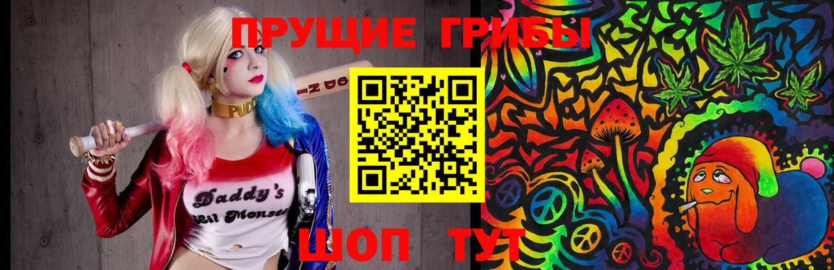 Псилоцибиновые грибы ЛСД Новозыбков